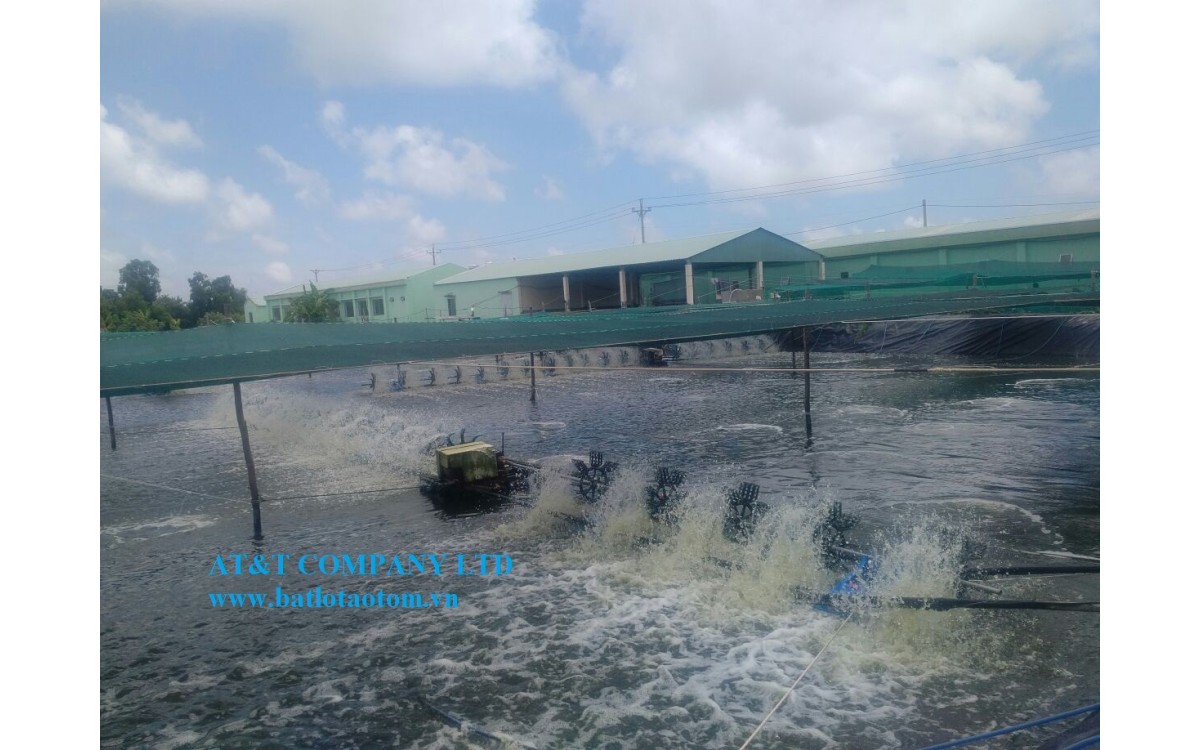 Sục kh&iacute; trong ao nu&ocirc;i t&ocirc;m si&ecirc;u th&acirc;m canh